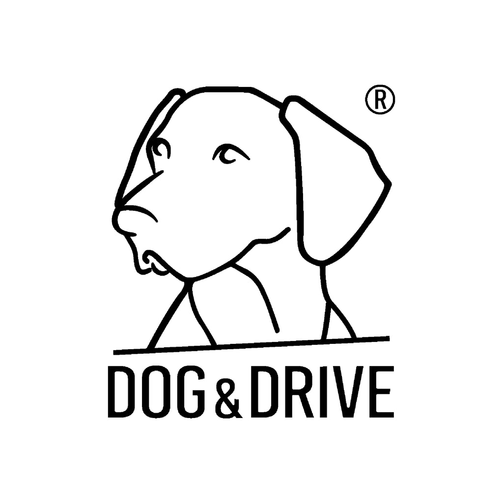 Dog & Drive