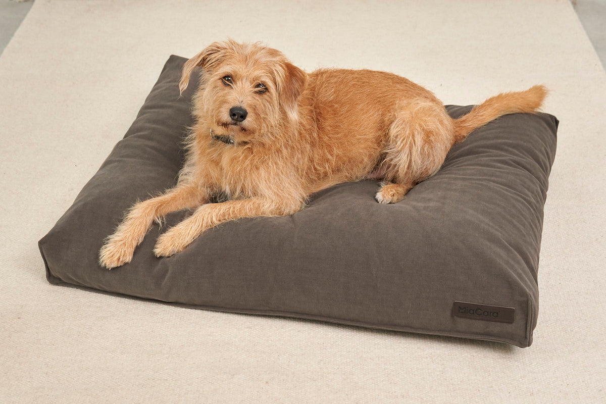 Comodo Hundekissen