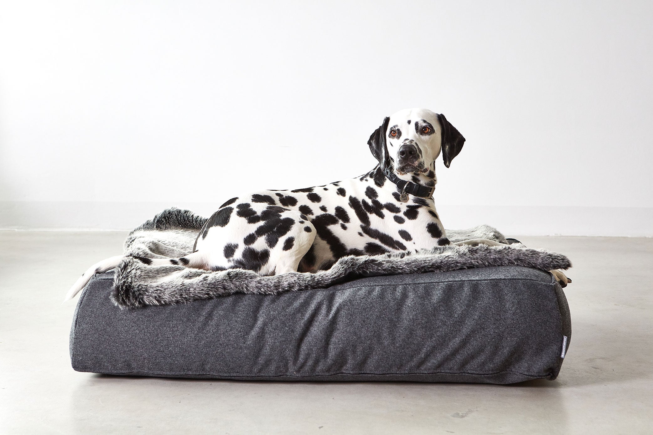 MiaCara Stella Loungekissen