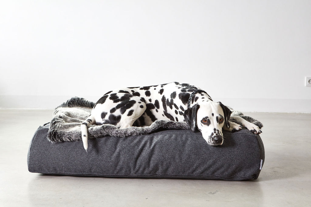 MiaCara Stella Loungekissen