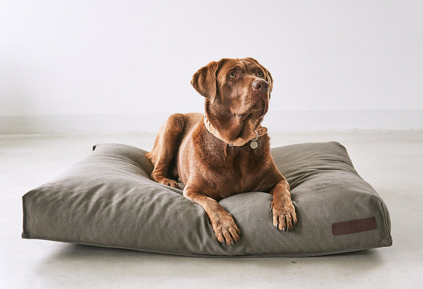 MiaCara Mare Hundekissen