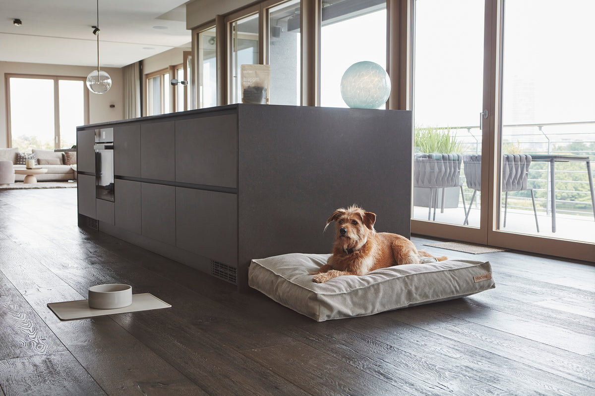 Cordo Hundekissen