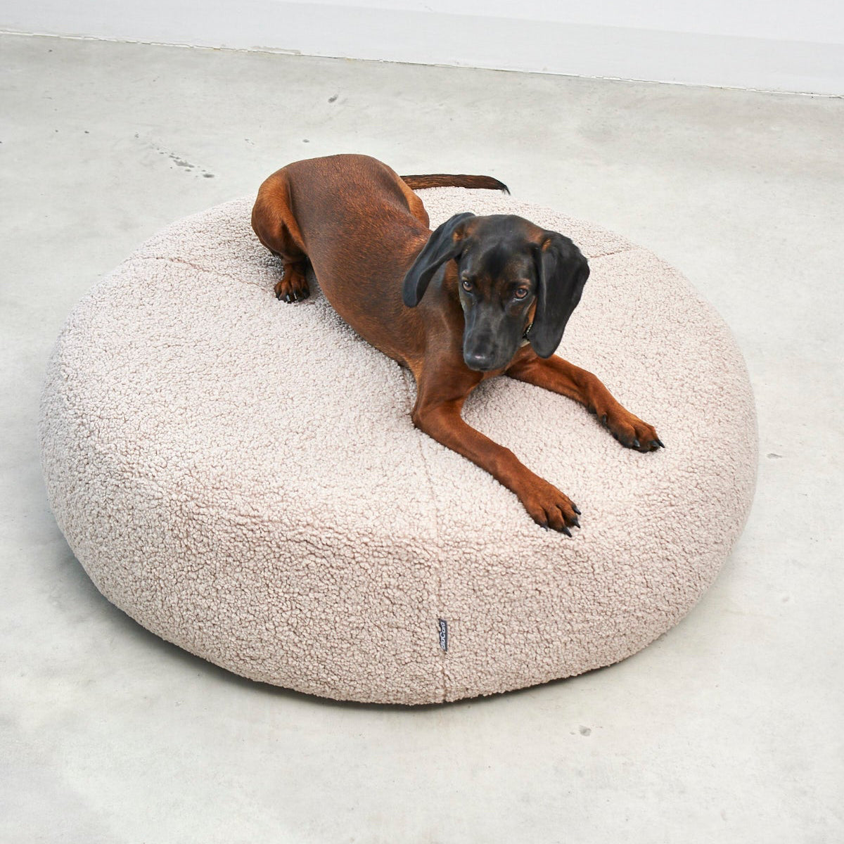 MiaCara Senso Hunde-Pouf