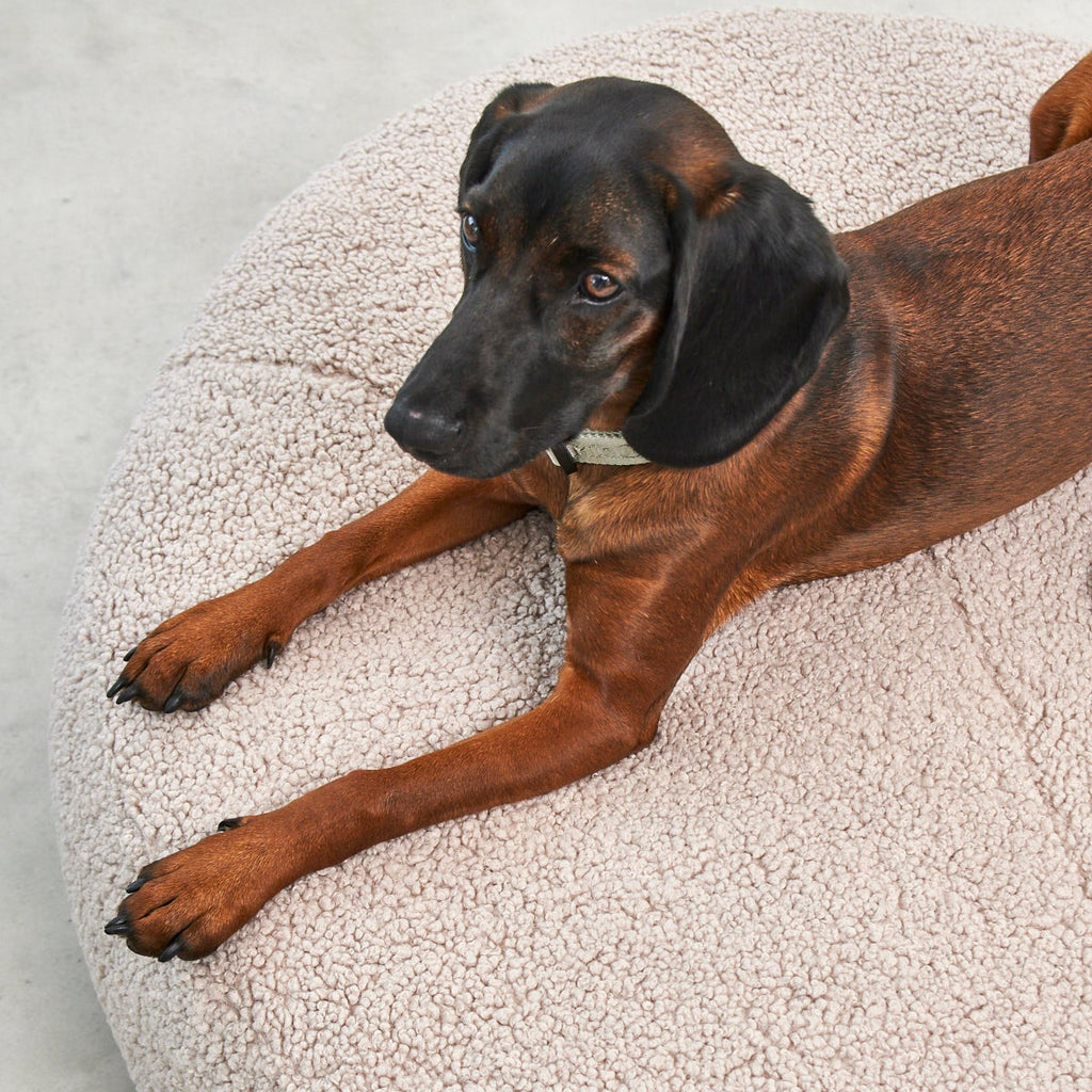 MiaCara Senso Hunde-Pouf