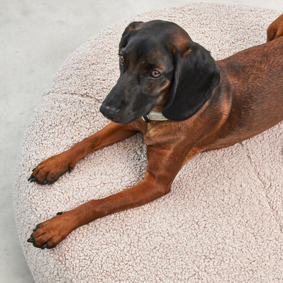 MiaCara Senso Hunde-Pouf