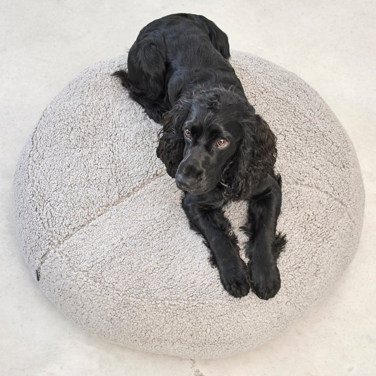 MiaCara Senso Hunde-Pouf
