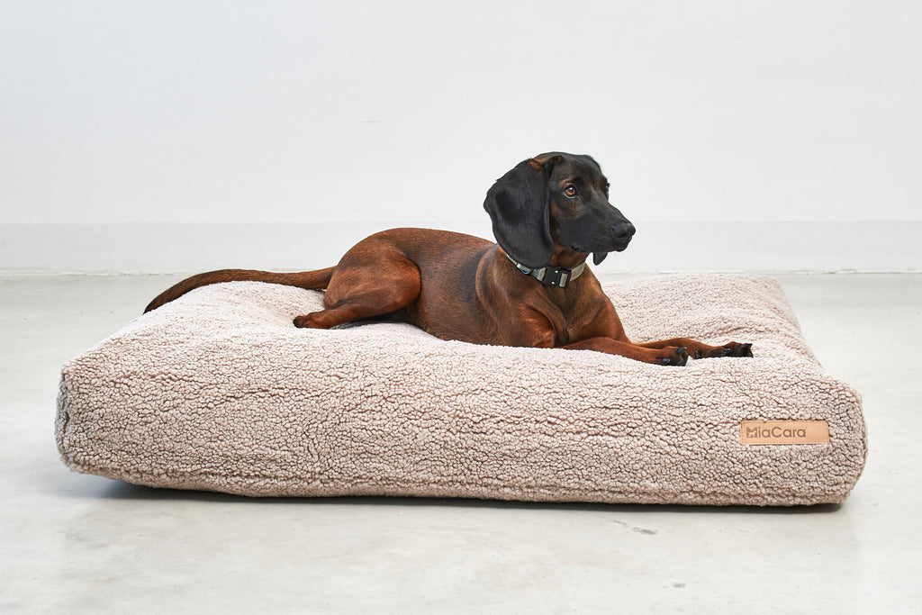 MiaCara Senso Hundekissen
