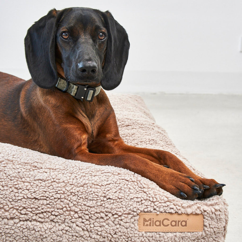 MiaCara Senso Hundekissen