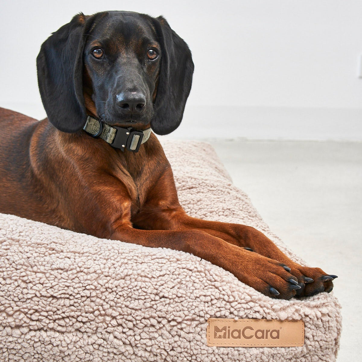 MiaCara Senso Hundekissen