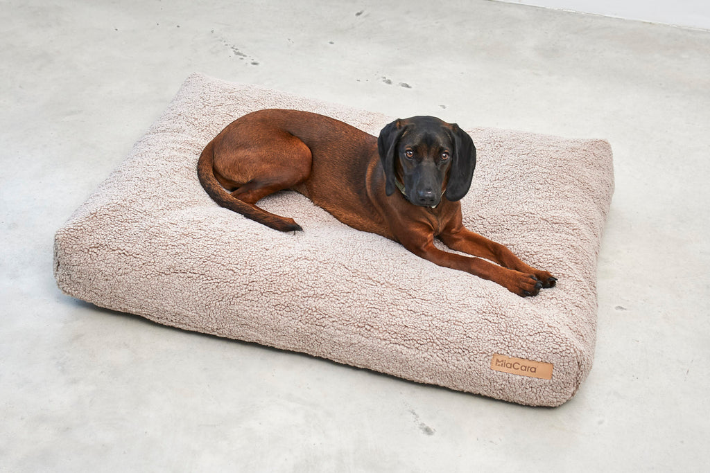 MiaCara Senso Hundekissen