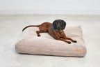 Senso Hundekissen