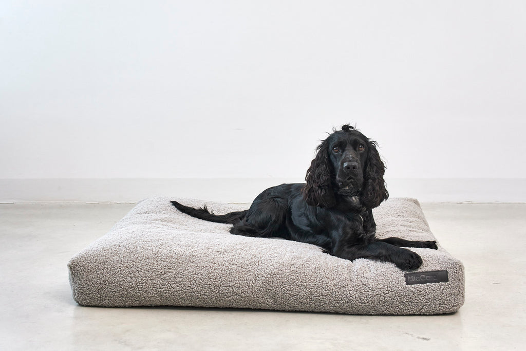 MiaCara Senso Hundekissen