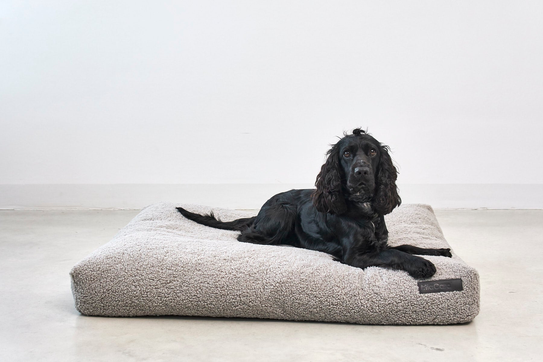 MiaCara Senso Hundekissen
