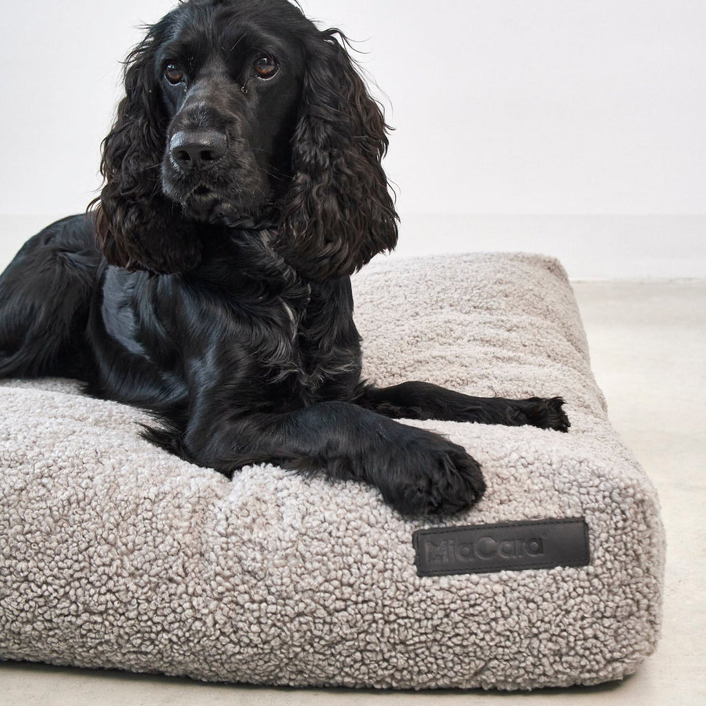 MiaCara Senso Hundekissen