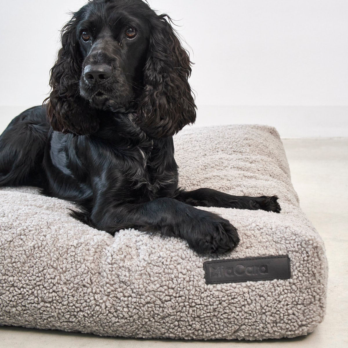 MiaCara Senso Hundekissen