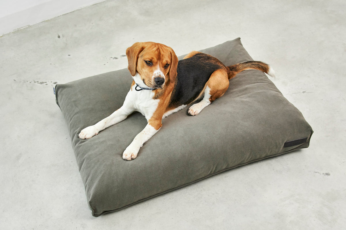 Comodo Hundekissen