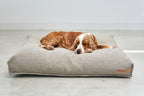 MiaCara Mondo Hundekissen