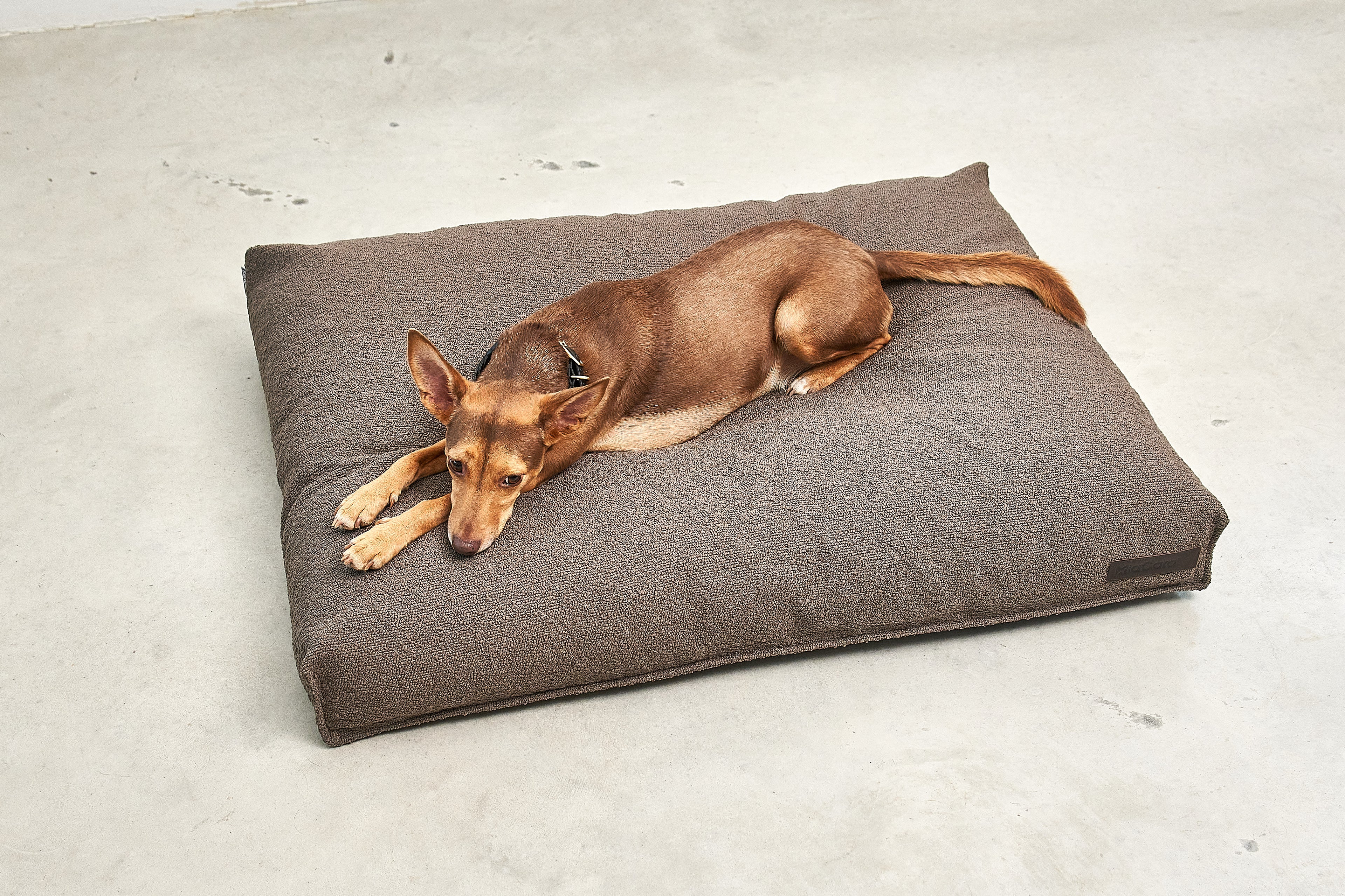 MiaCara Mondo Hundekissen