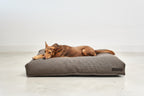 MiaCara Mondo Hundekissen