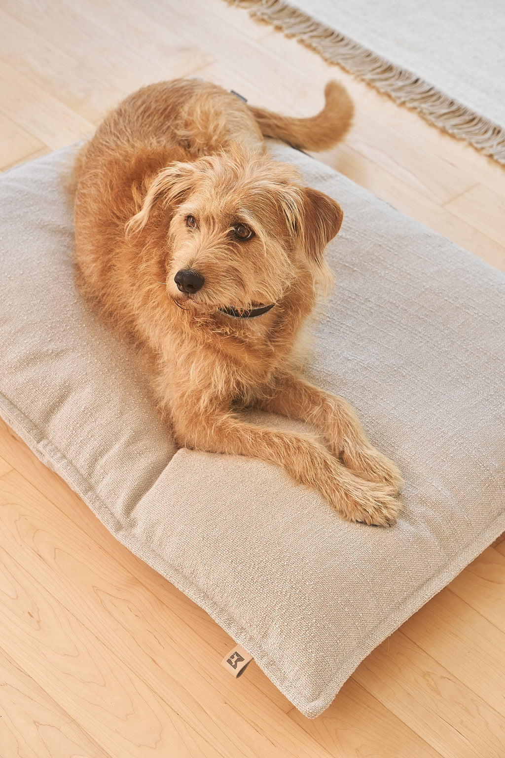 MiaCara Campo Hundekissen