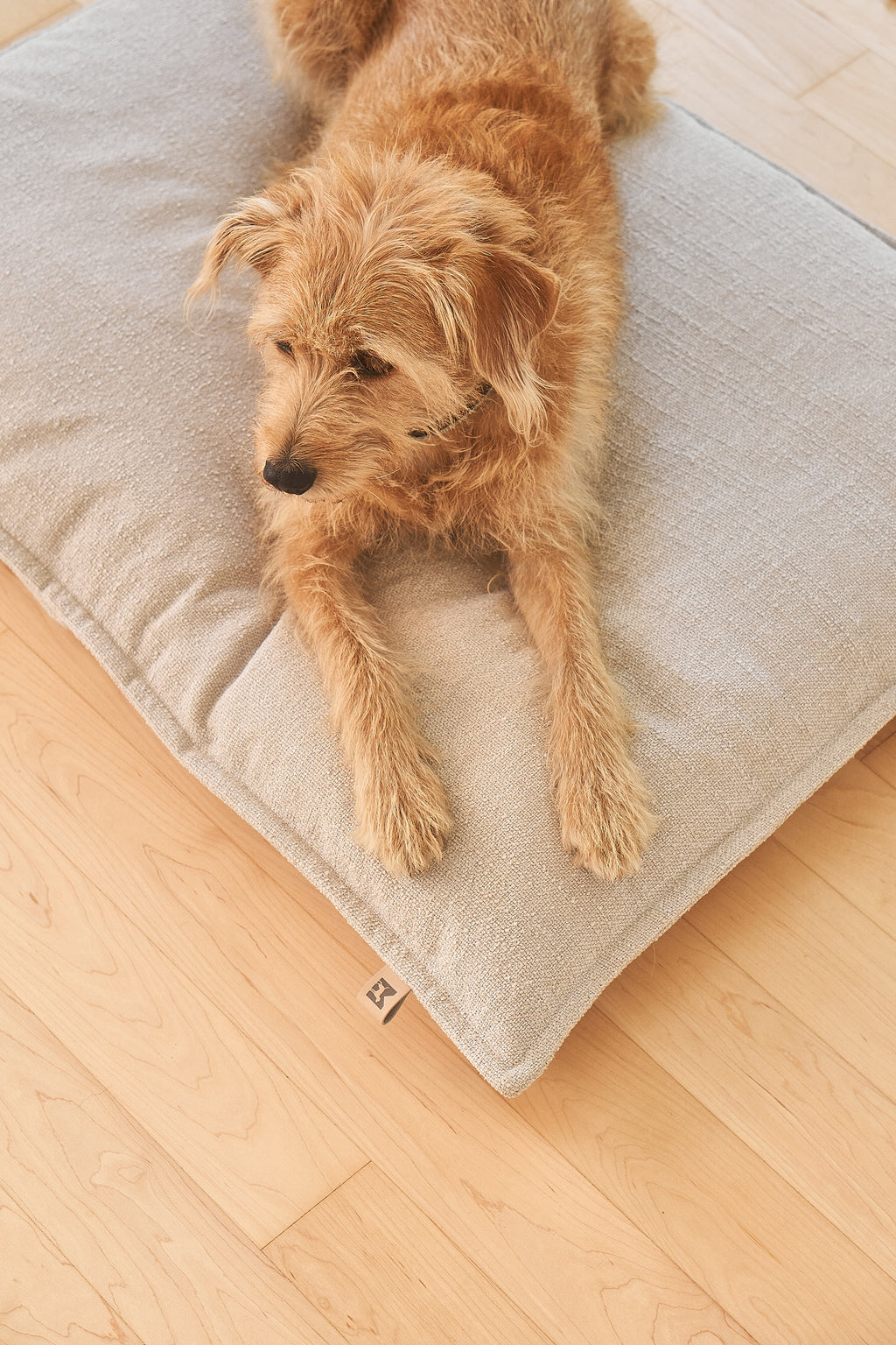 MiaCara Campo Hundekissen