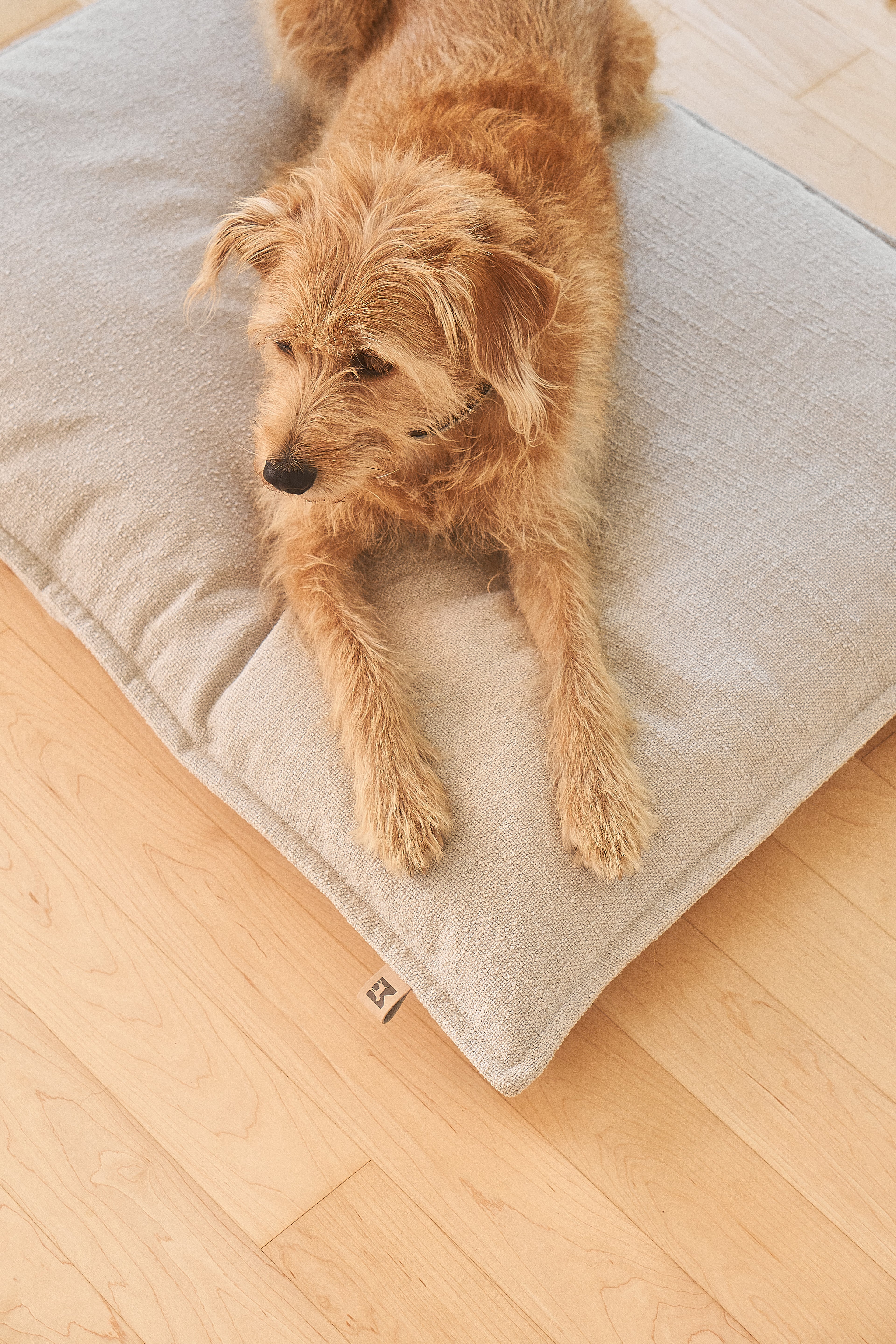 MiaCara Campo Hundekissen