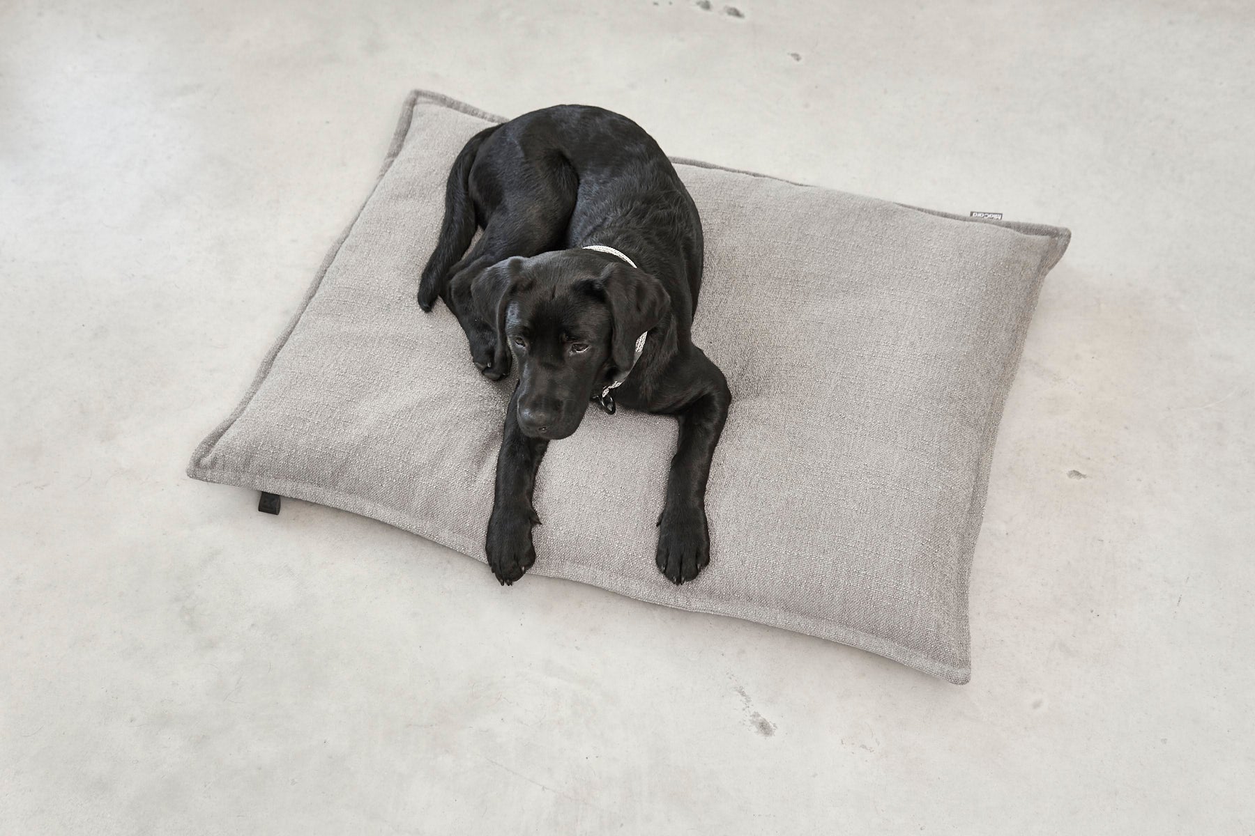 MiaCara Campo Hundekissen