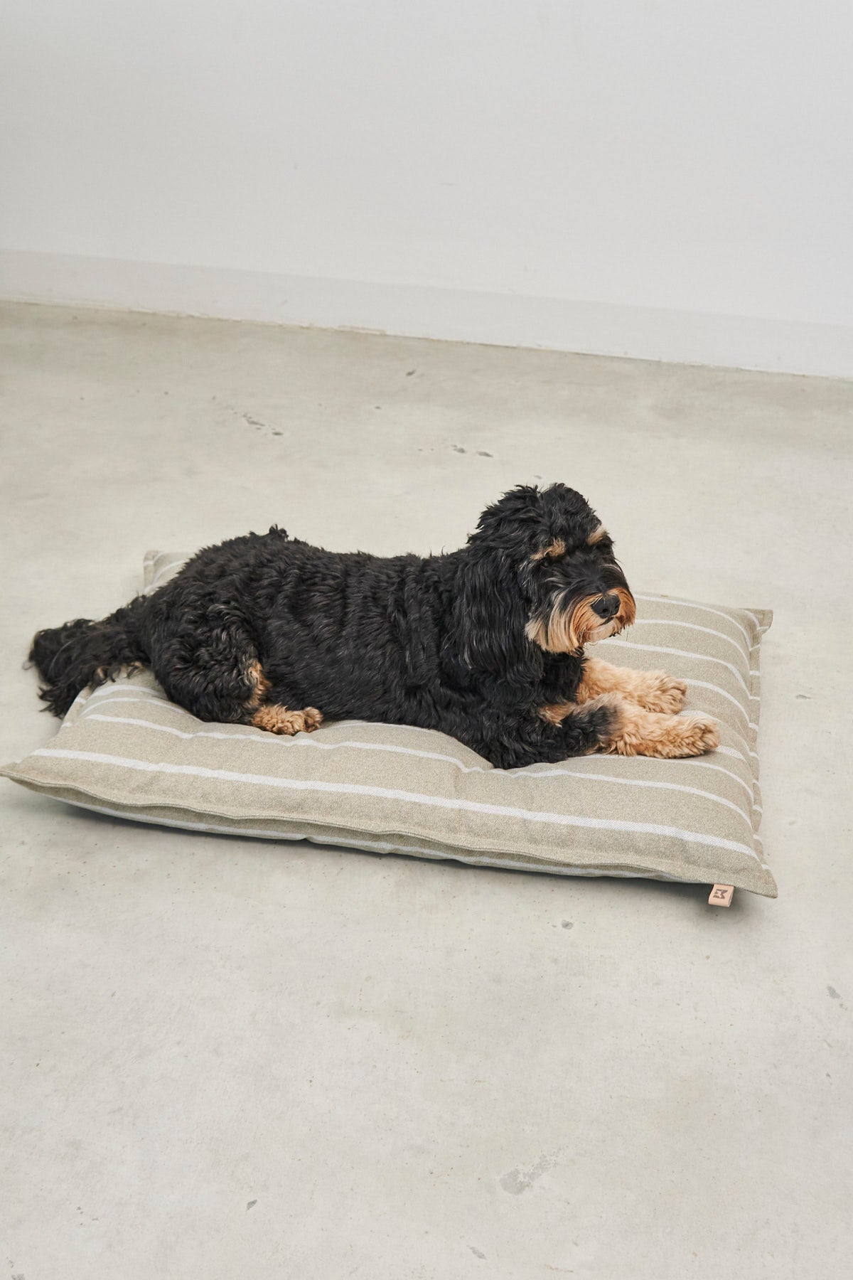 Riga Hundekissen Slim