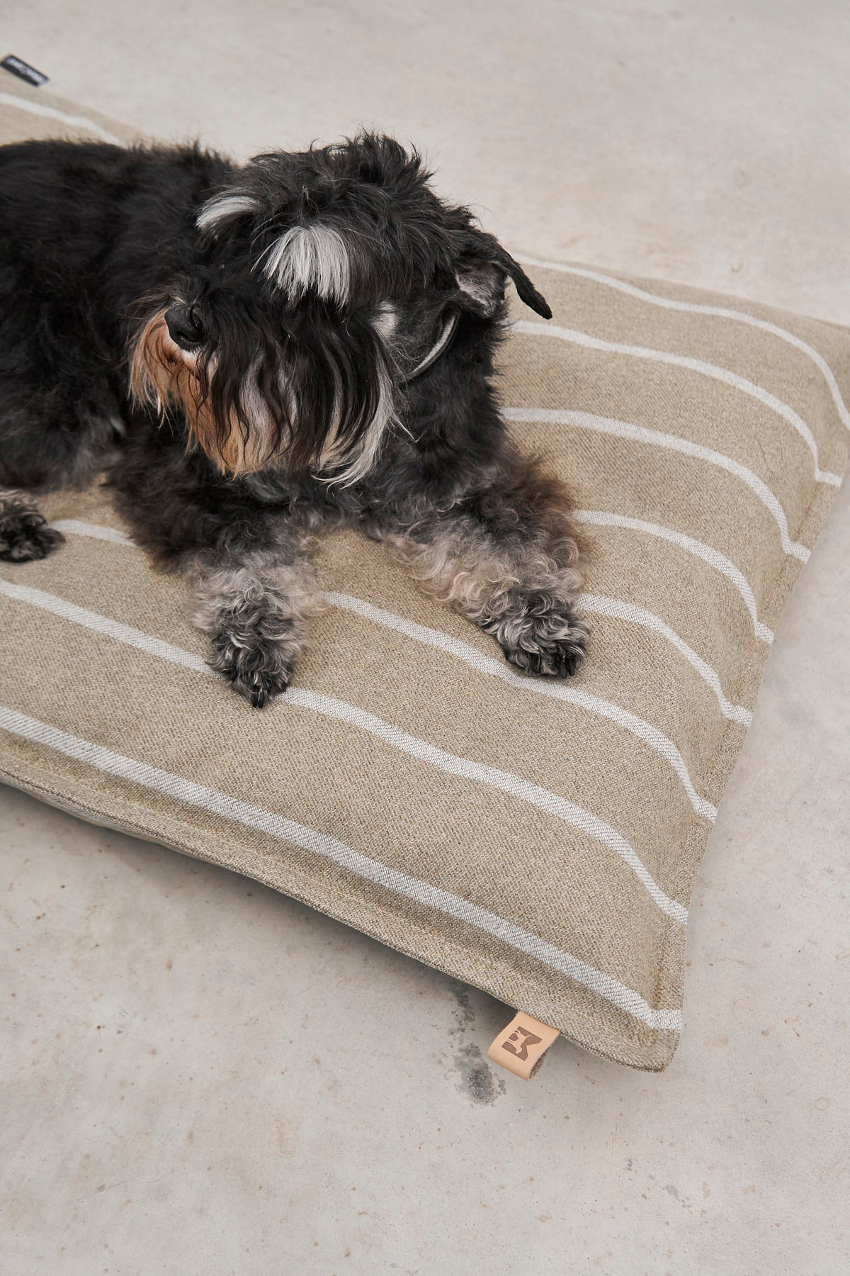 Riga Hundekissen Slim