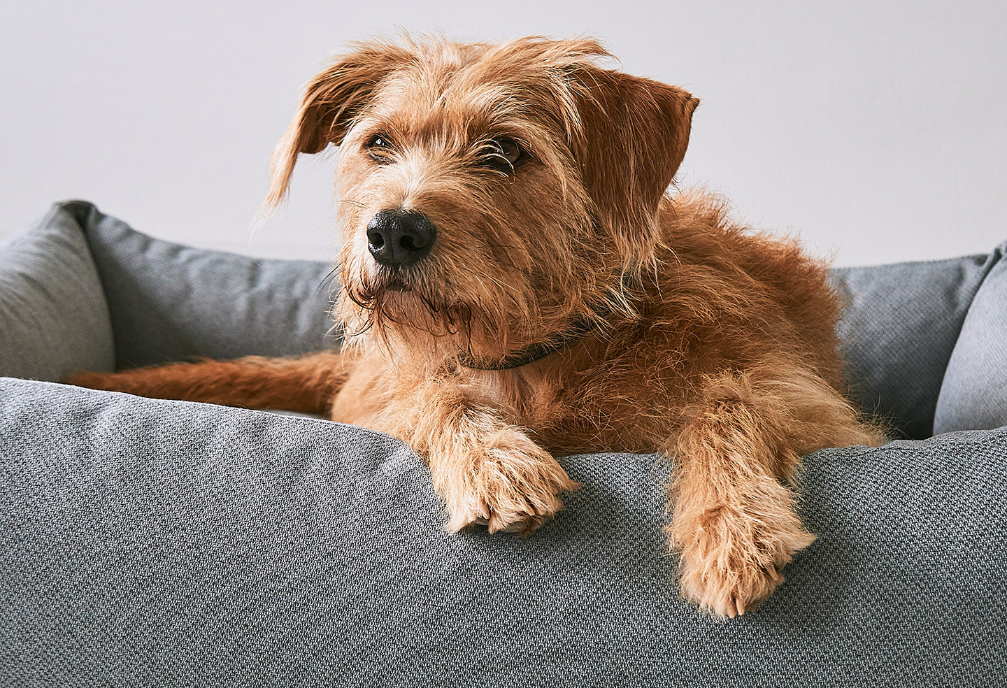 MiaCara Mare Hundebett