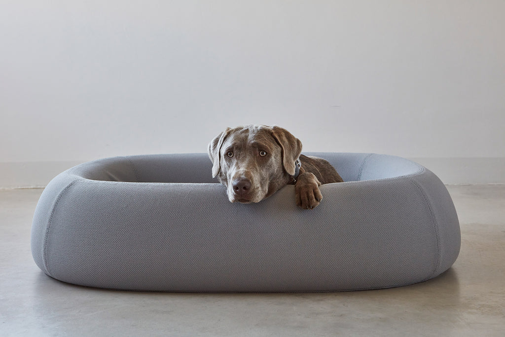 MiaCara Barca Hundebett