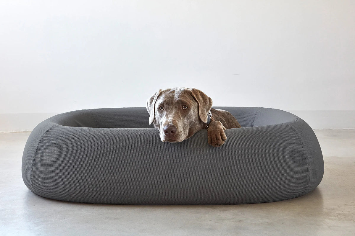 Barca Hundebett