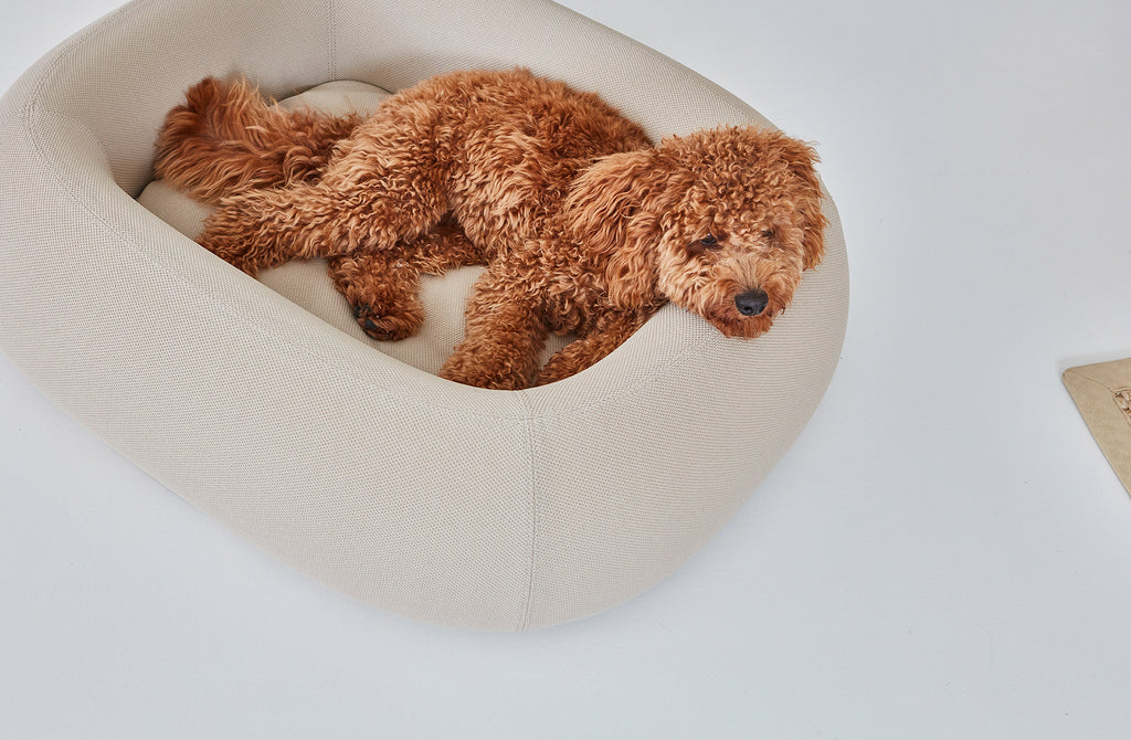 MiaCara Barca Hundebett