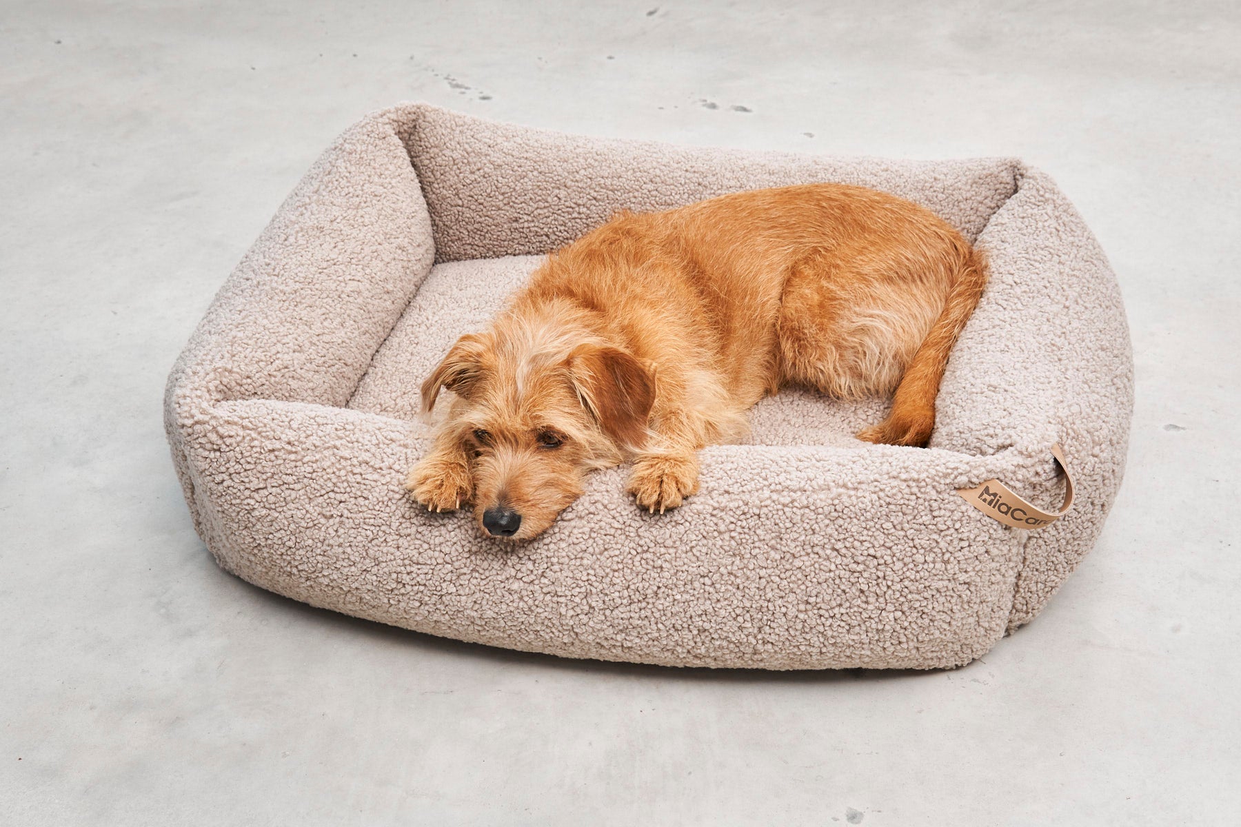 MiaCara Senso Hundebett