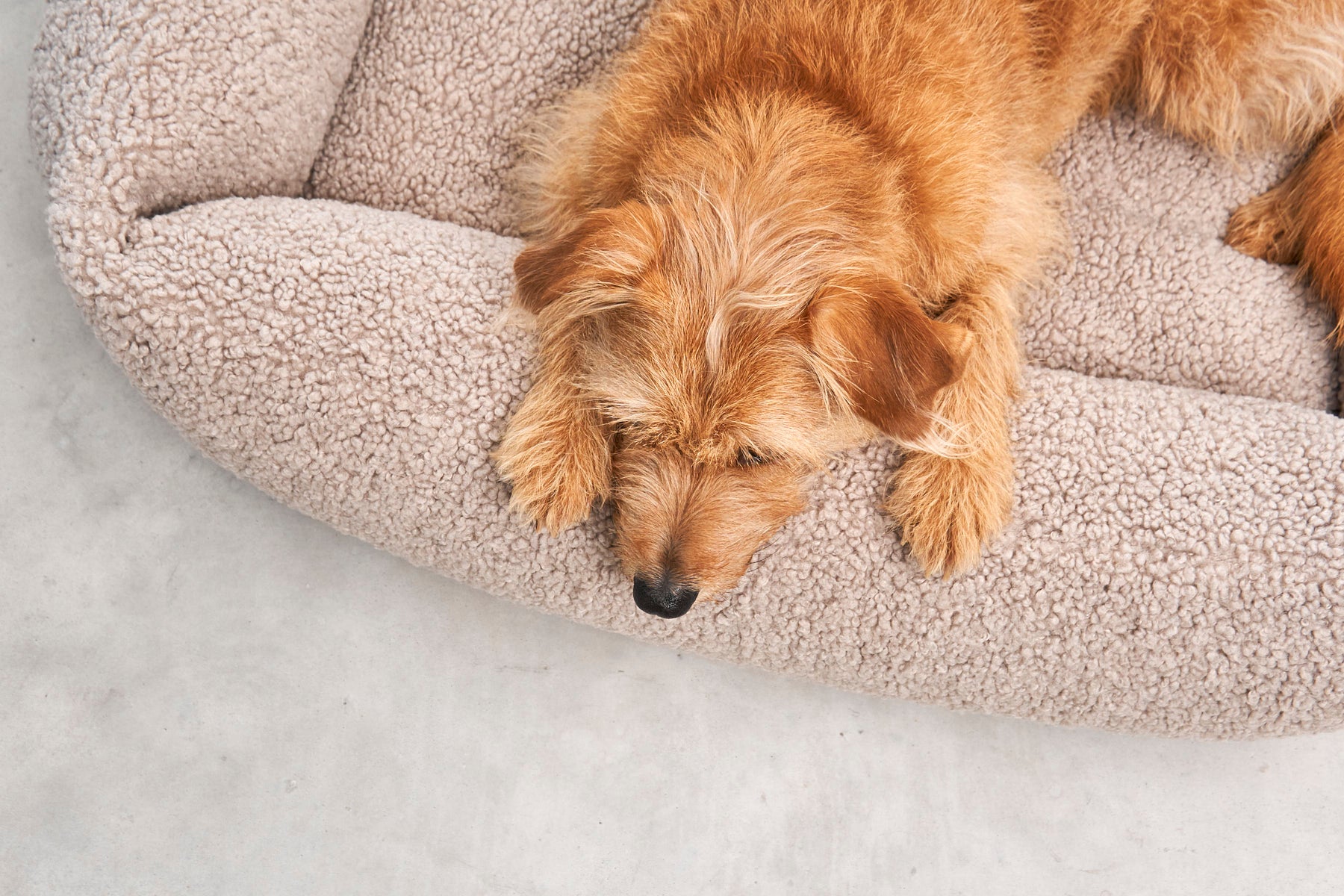 MiaCara Senso Hundebett