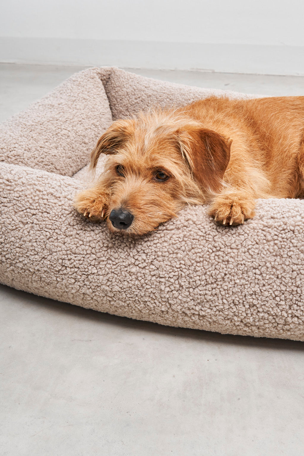 MiaCara Senso Hundebett