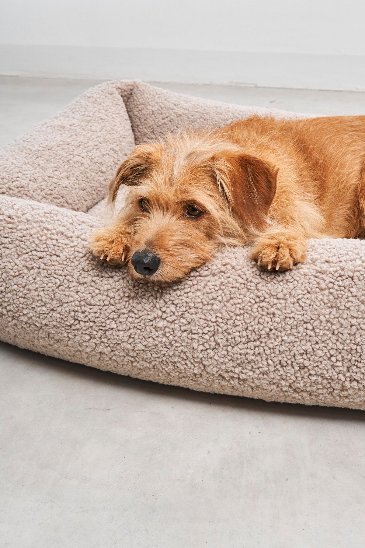 MiaCara Senso Hundebett
