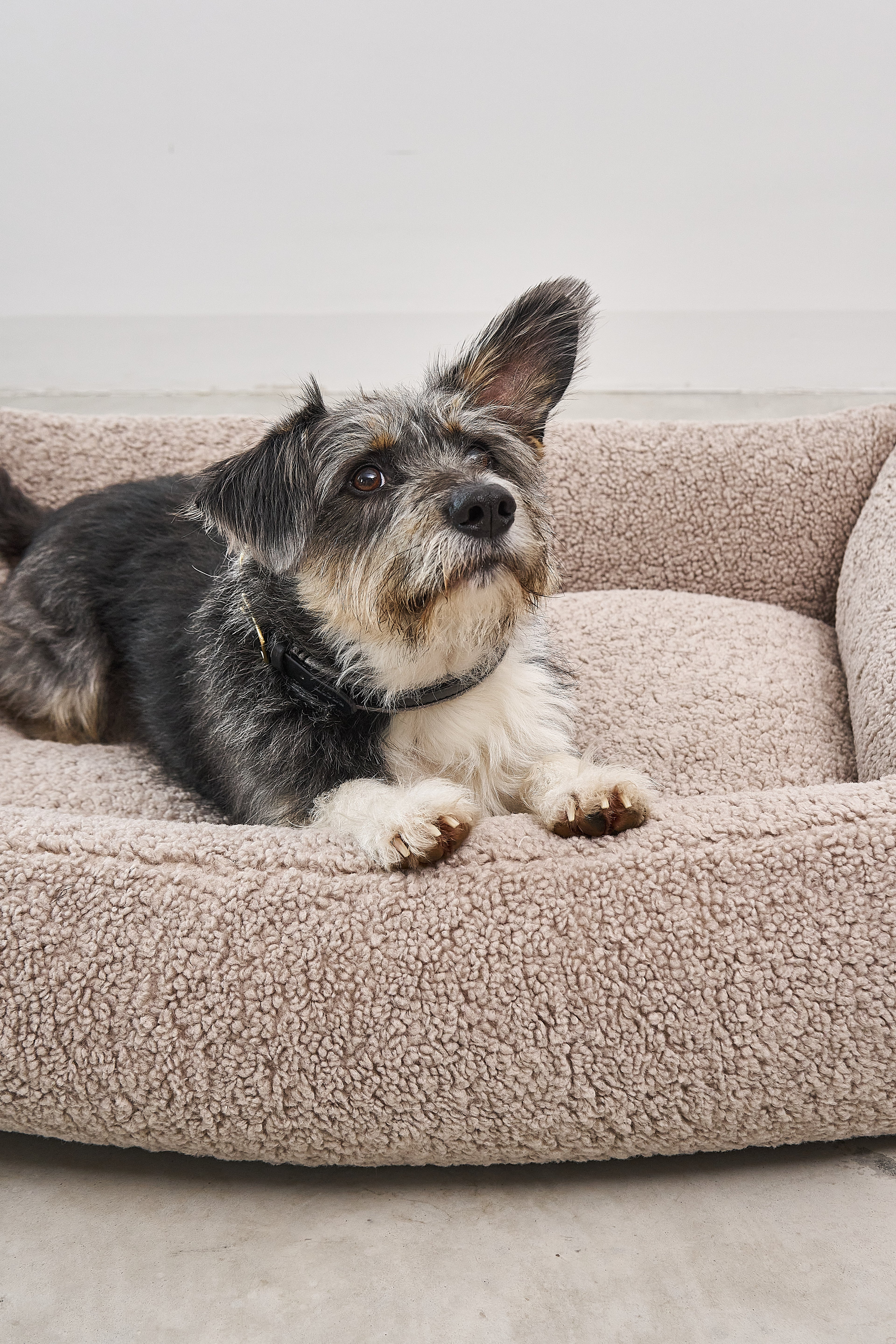 MiaCara Senso Hundebett