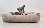 Senso Hundebett