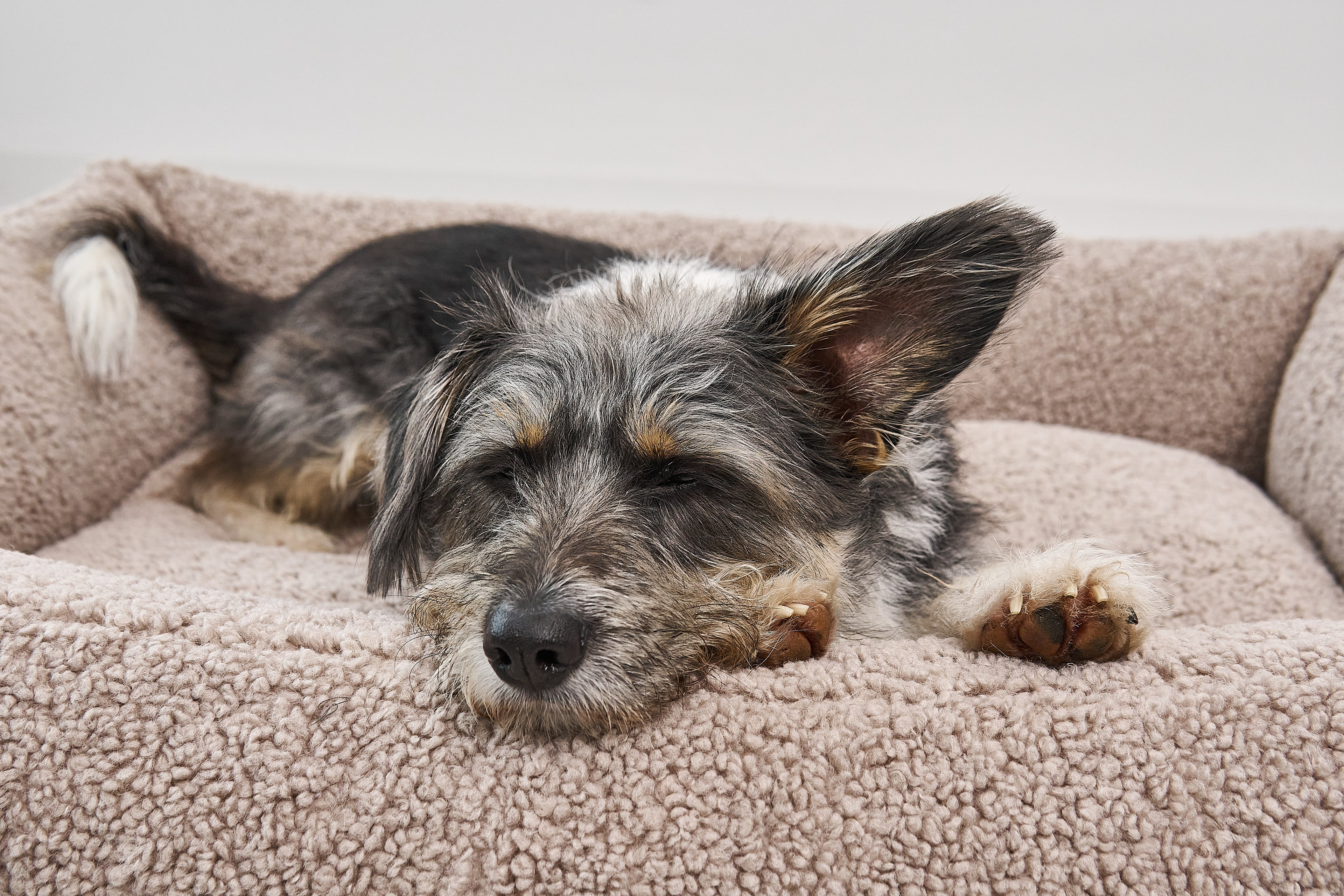 MiaCara Senso Hundebett
