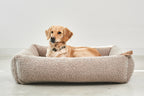 Senso Hundebett