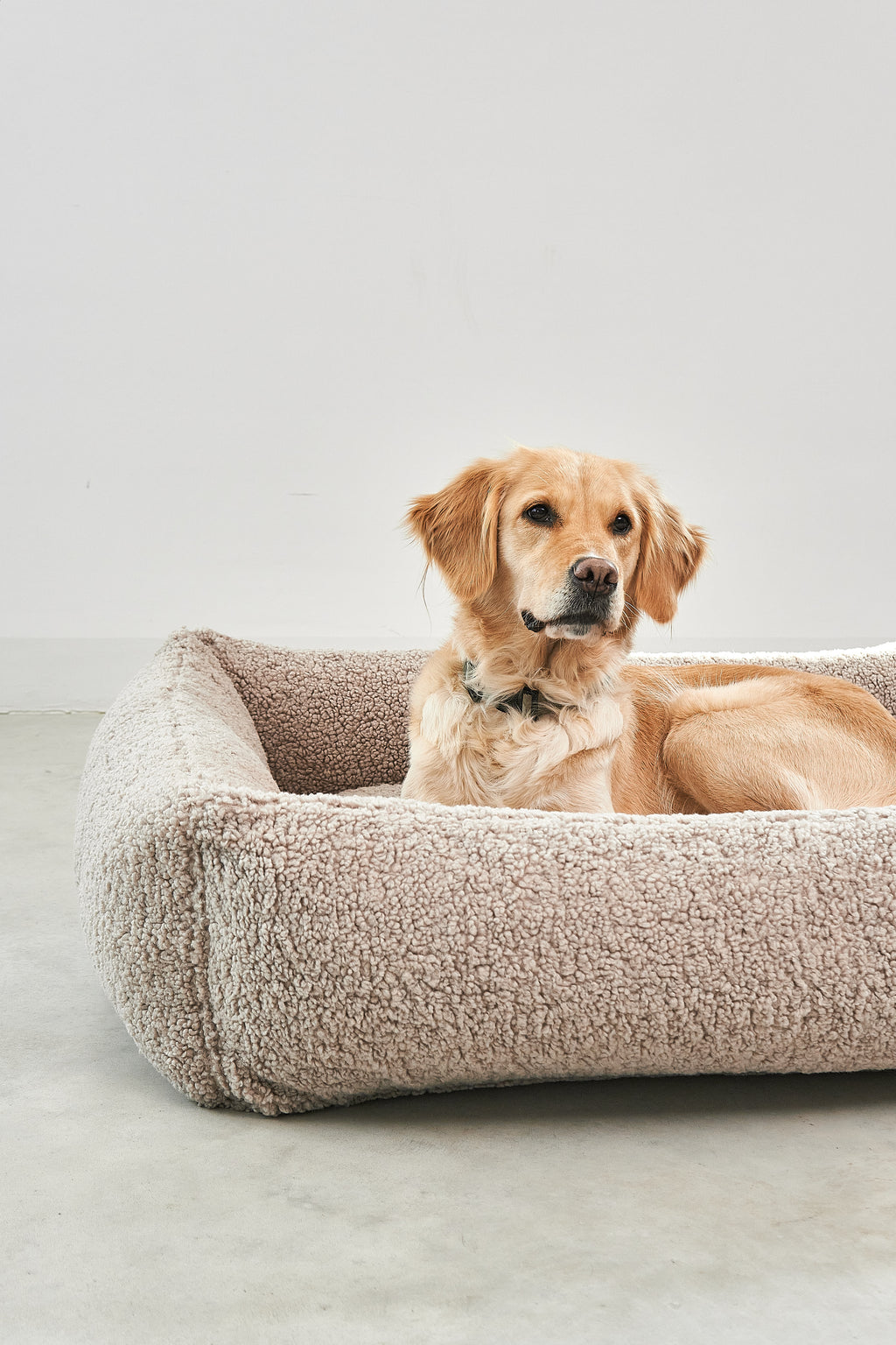 MiaCara Senso Hundebett