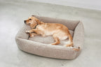 Senso Hundebett