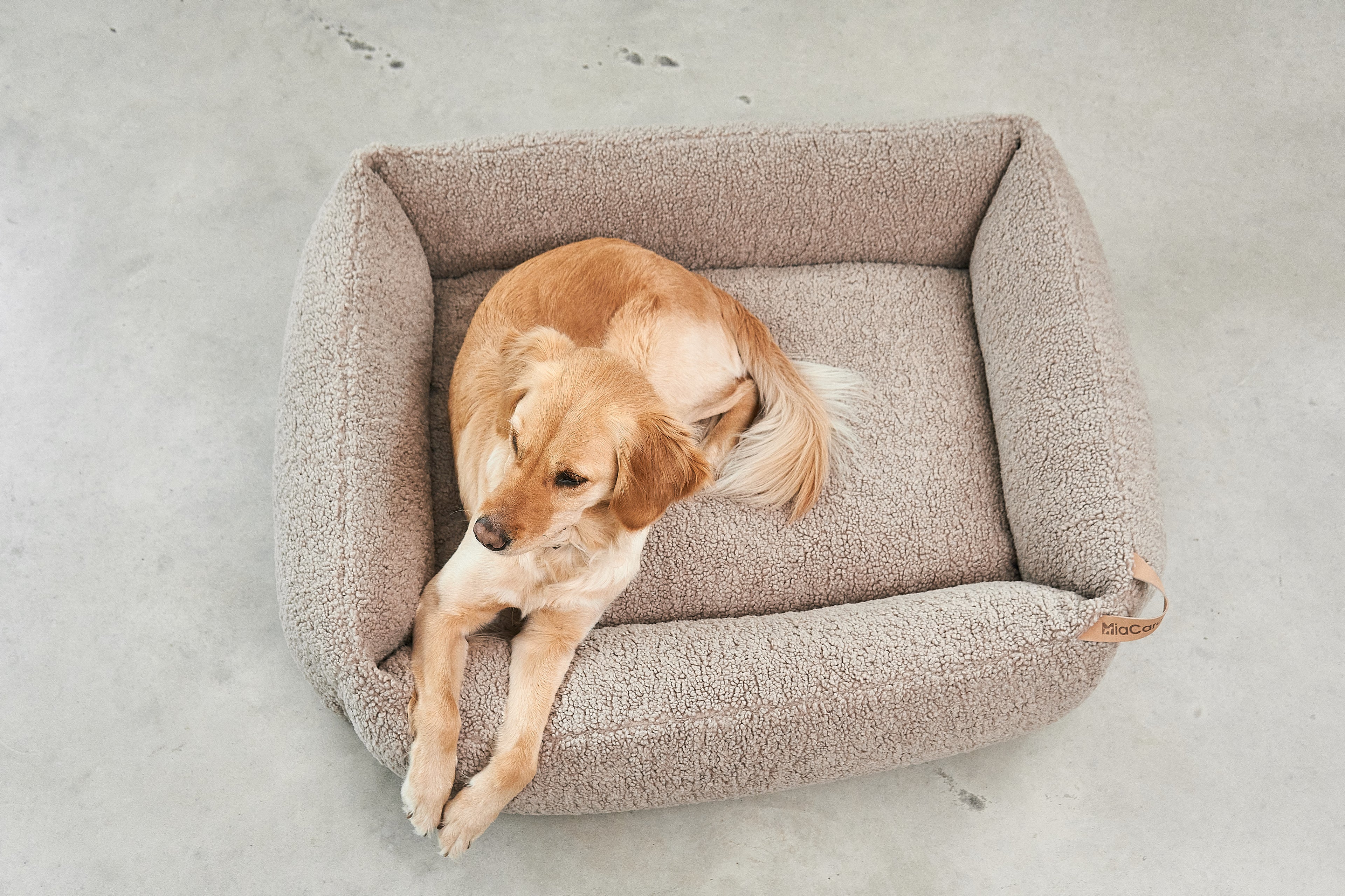 MiaCara Senso Hundebett