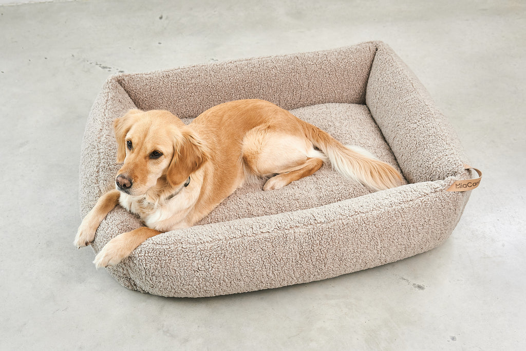 MiaCara Senso Hundebett