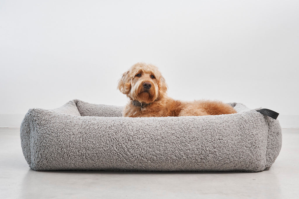 MiaCara Senso Hundebett