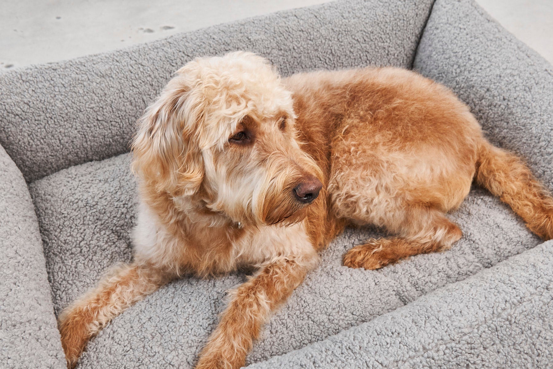 MiaCara Senso Hundebett