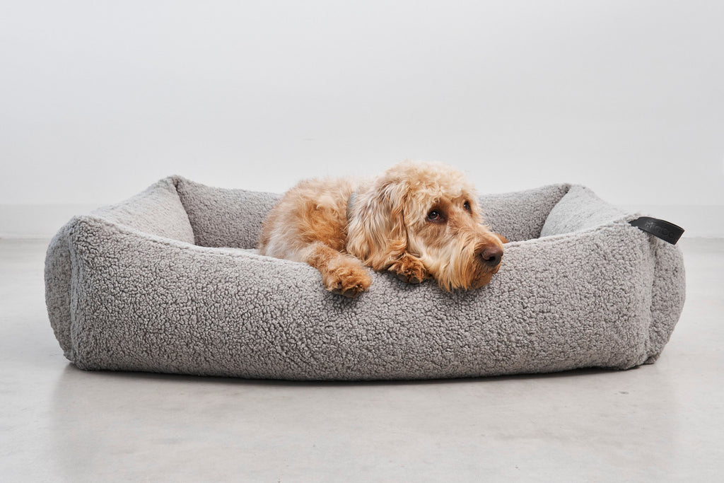 MiaCara Senso Hundebett