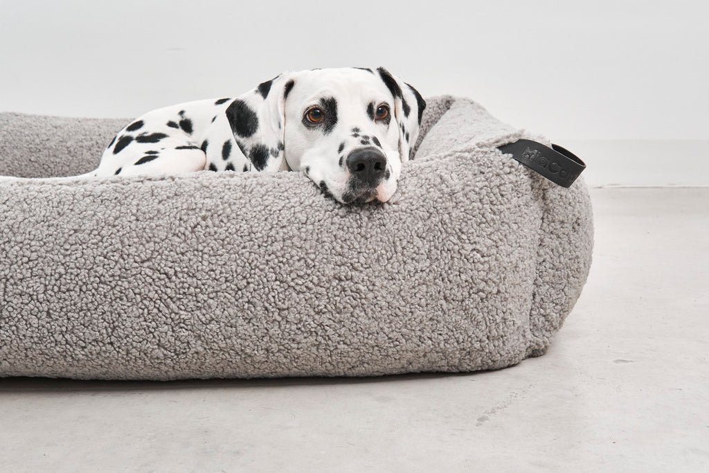 MiaCara Senso Hundebett