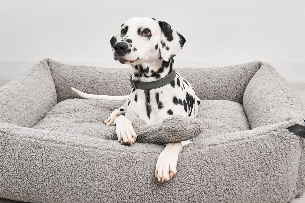 MiaCara Senso Hundebett